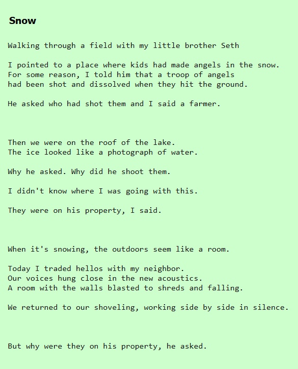 the poem 'Snow', by David Berman